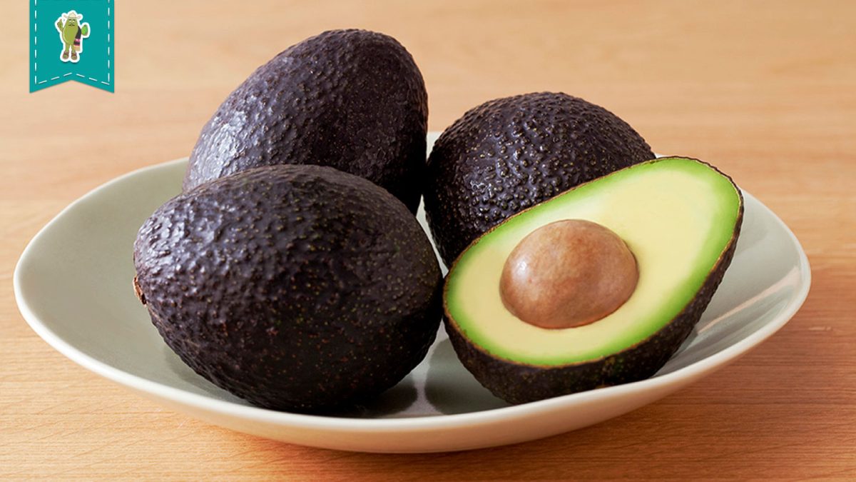 Don Aguacato Venta De Aguacate Orgánico En México